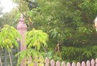 Banjuplandscape-gardener-15.jpg; ?>