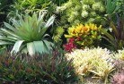 Banjupplanting-garden-and-landscape-design-24.jpg; ?>