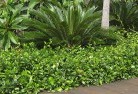 Banjupplanting-garden-and-landscape-design-45.jpg; ?>
